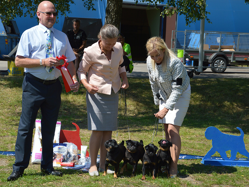 BIS Uppfödargrupp Kennel Hierners